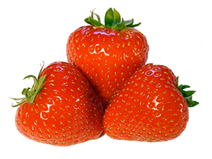 Tempelmayr - Erdbeeren